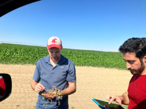 Two people stand outside a car in a field, one holding crop residues and othe other holding a tablet.