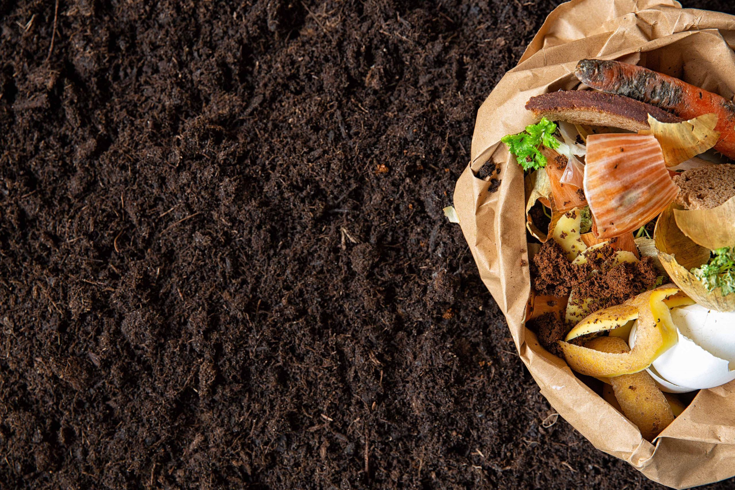bag of food scraps on top of compost