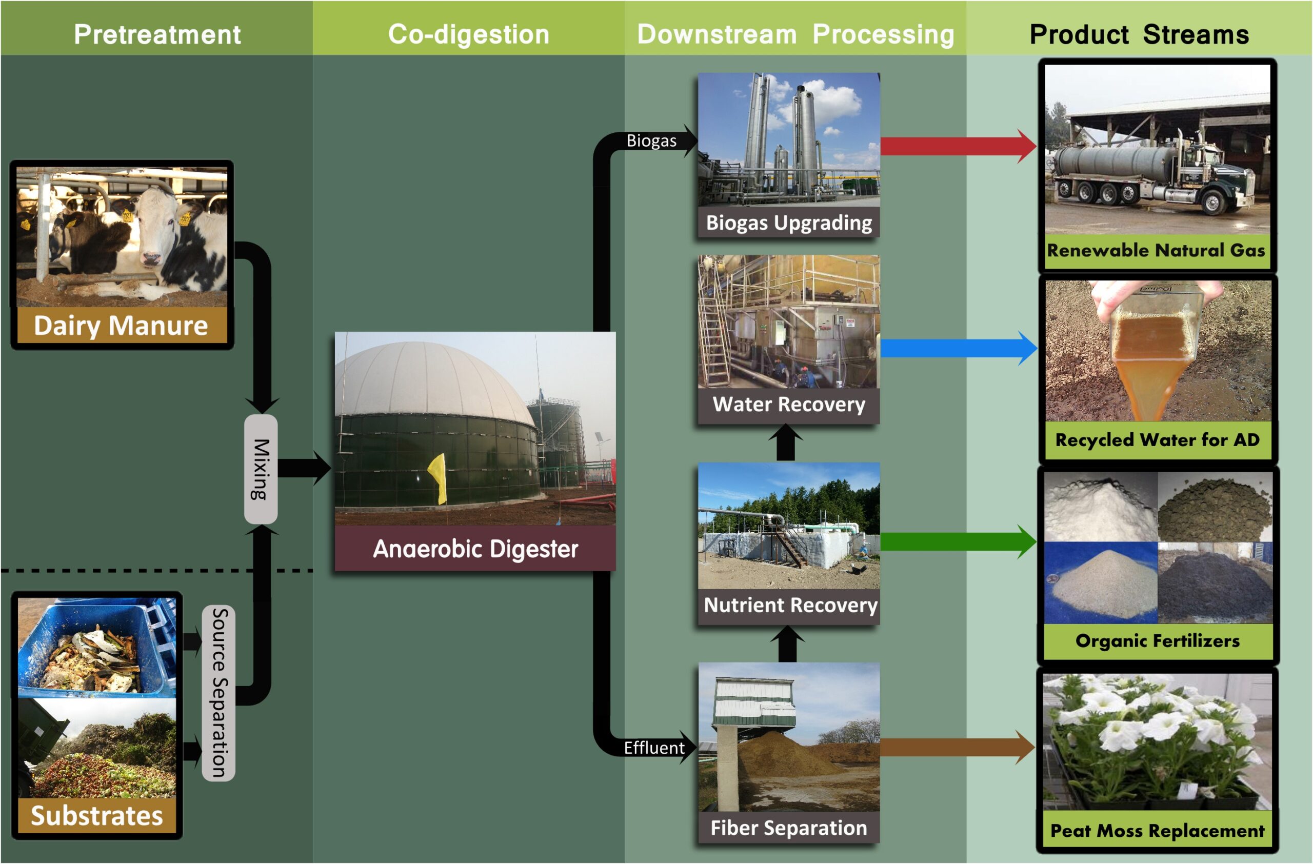 Resources for Professionals | Center for Sustaining Agriculture and ...