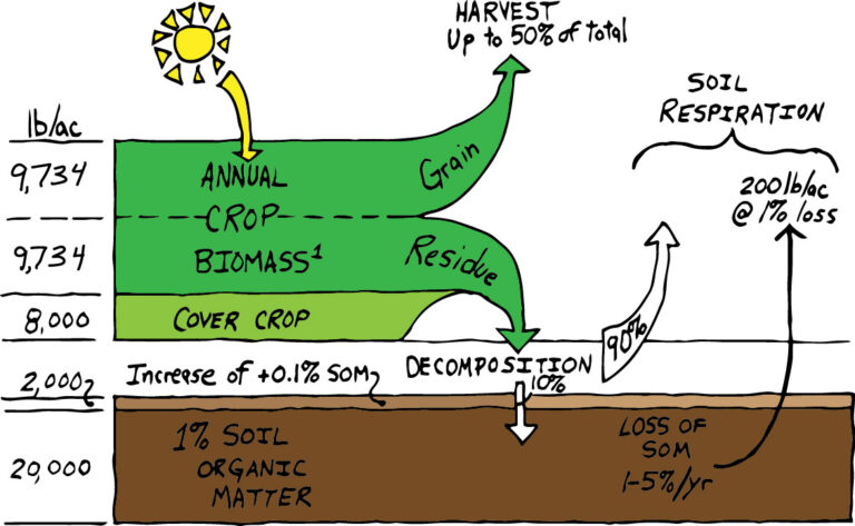 What it takes to increase soil organic matter from 1% to 1.1% in the top 6”.