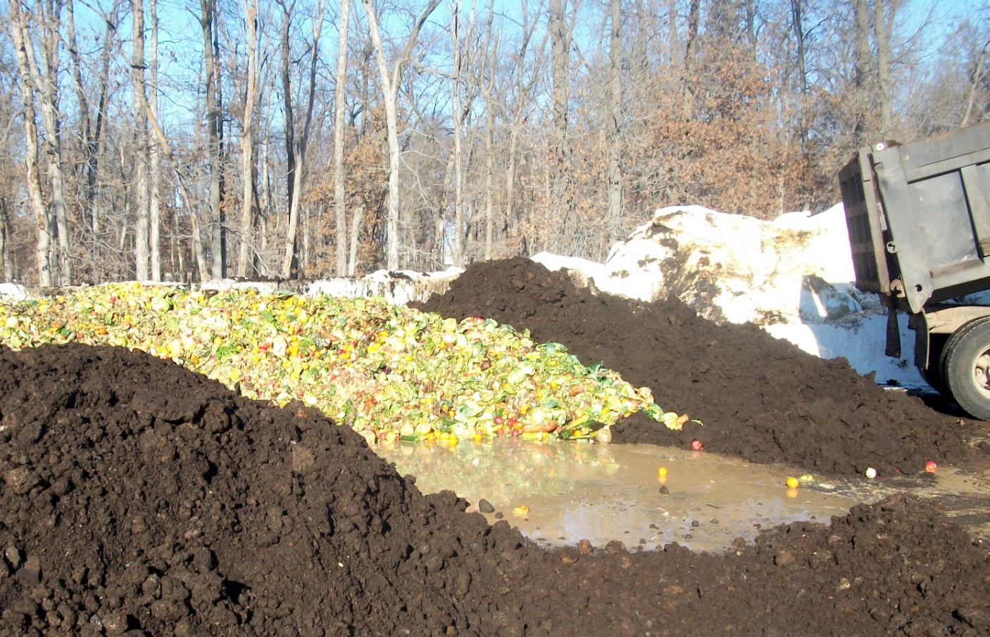 Dump truck finishes unloading organic waste onto compost pile.