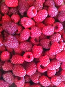 close up of red raspberries