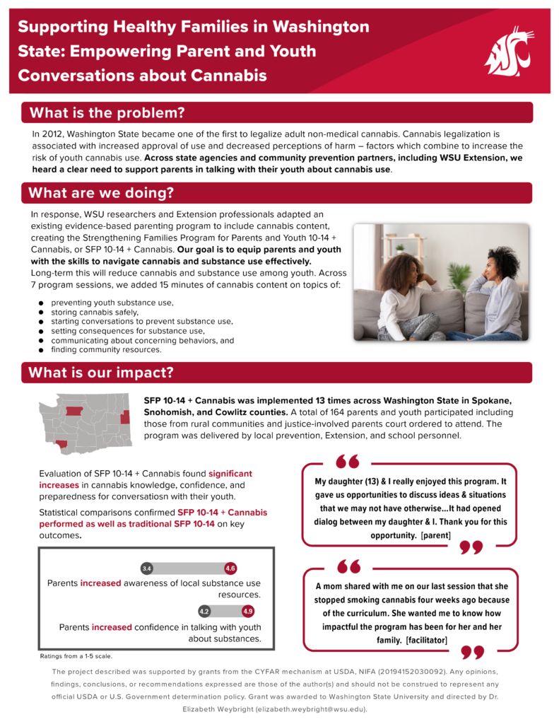 Image of an impact report titled Supporting Healthy Families in Washington State: Empowering Parent and Youth Conversations about Cannabis