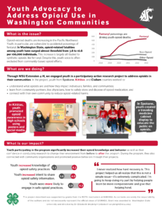 Image of impact report titled Youth Advocacy to Address Opioid Use in Washington Communities.