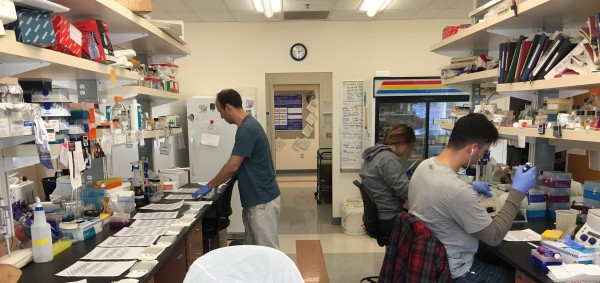 three people working in the lab
