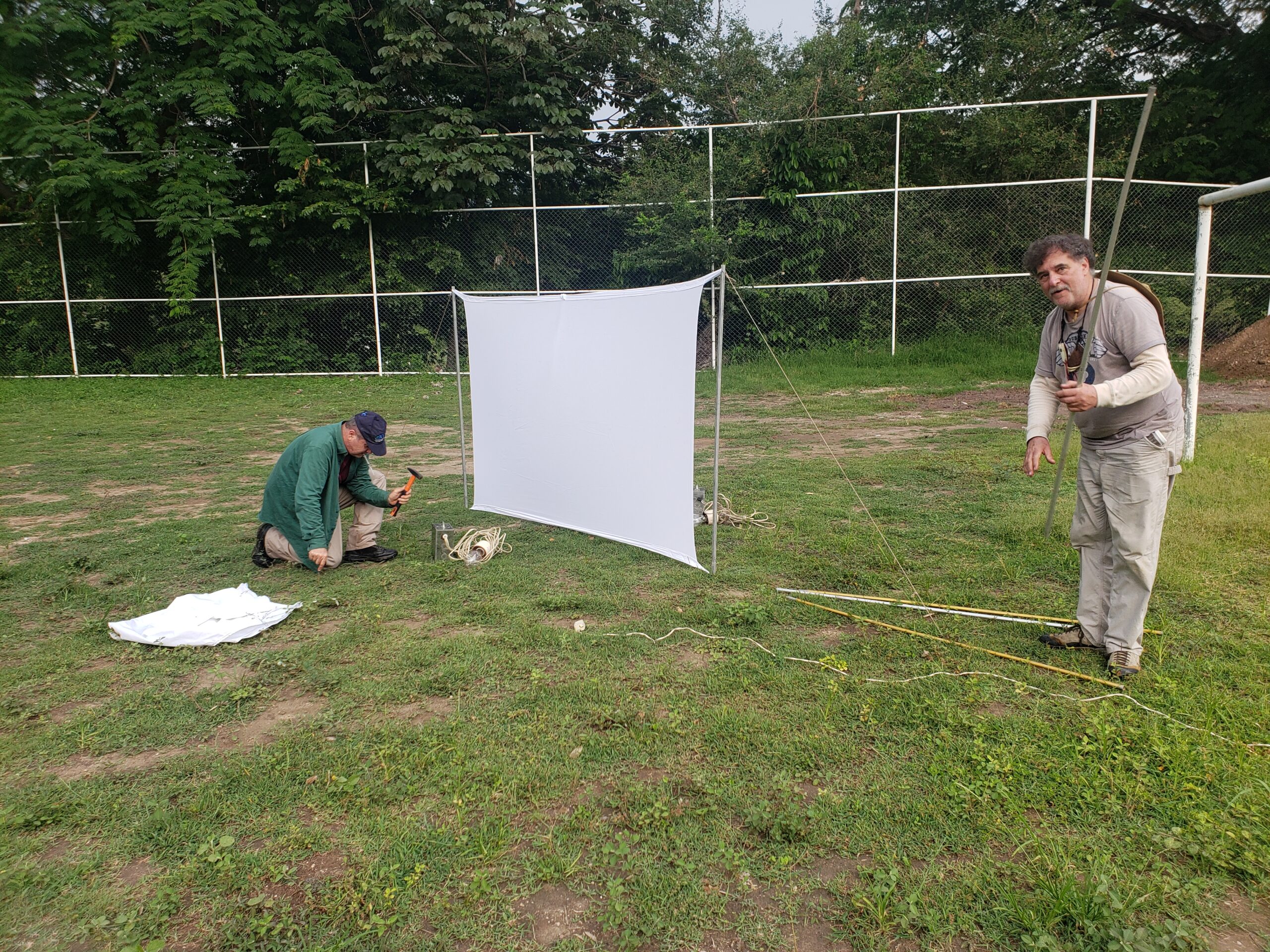 Two people set up a white sheet in a field. One of them hammers a sturdy spike into the ground while the other holds a pole.