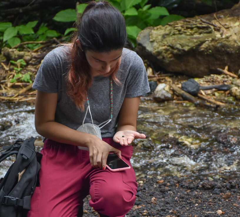 Ann Cristina is knelt down next to a creek. She holds an insect in her palm and her phone in the other.