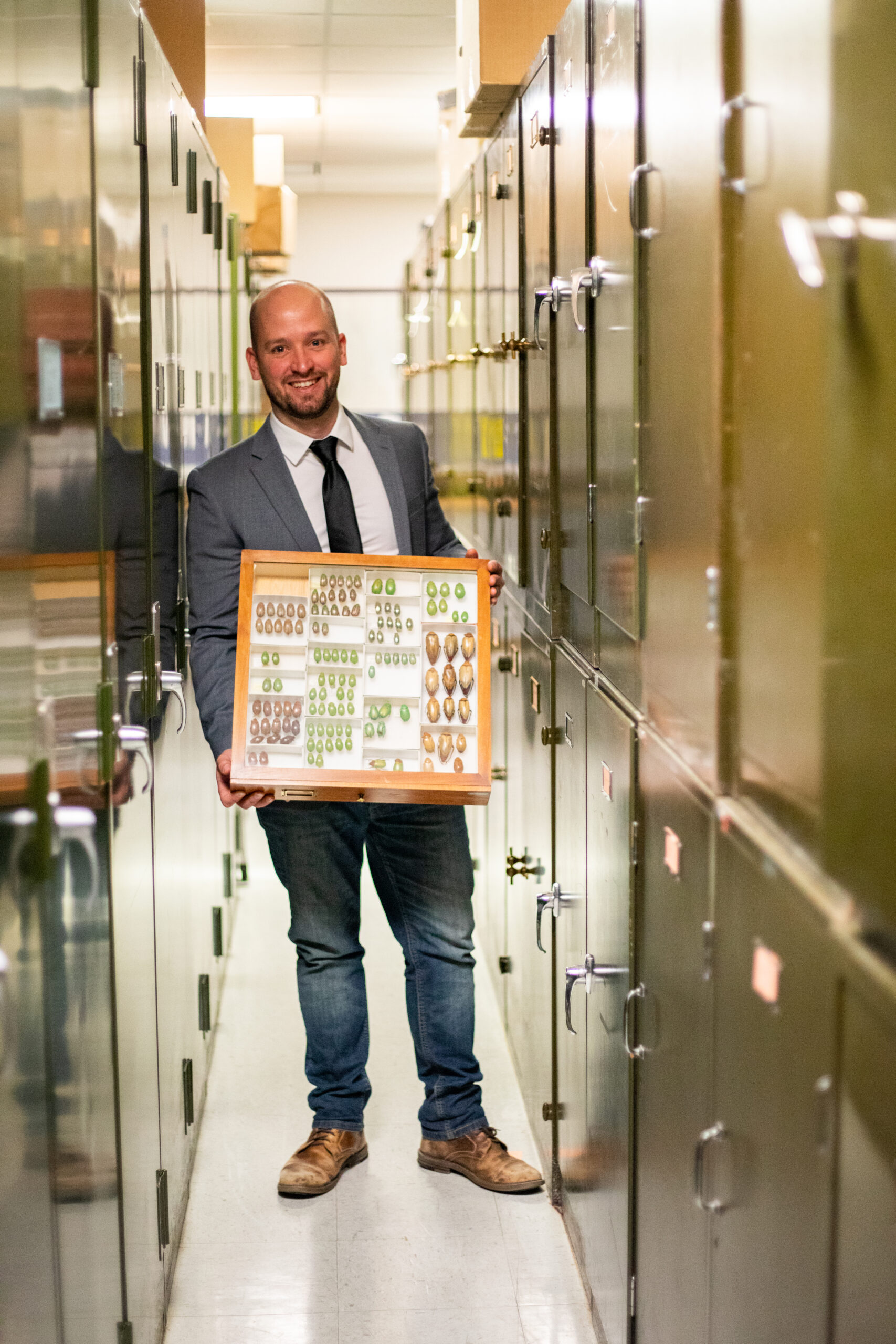 Silas Bossert standing in the museum and holding a drawer of Chrysina beetles for display