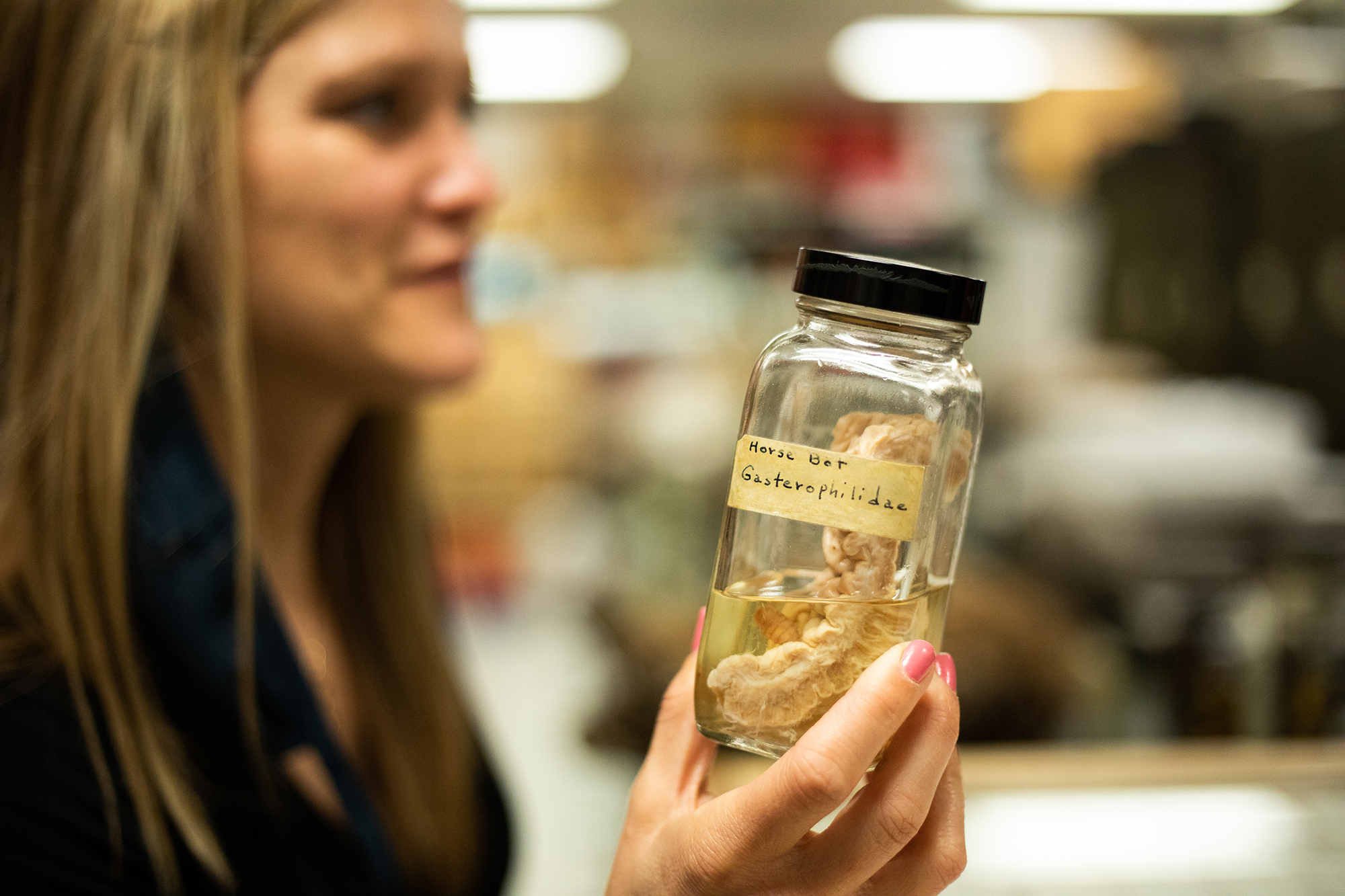 Elizabeth Murray holds up a container. Inside is a Horse Bot suspended partially in liquid. The container is labeled, "Horse Bot. Gasterophilidae."