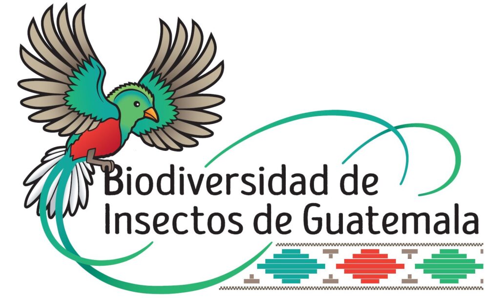 Biodiversidad de Insectos de Guatemala logo. It depicts a bird landing on the text. It is illustrated in the colors green, red, and turquoise.
