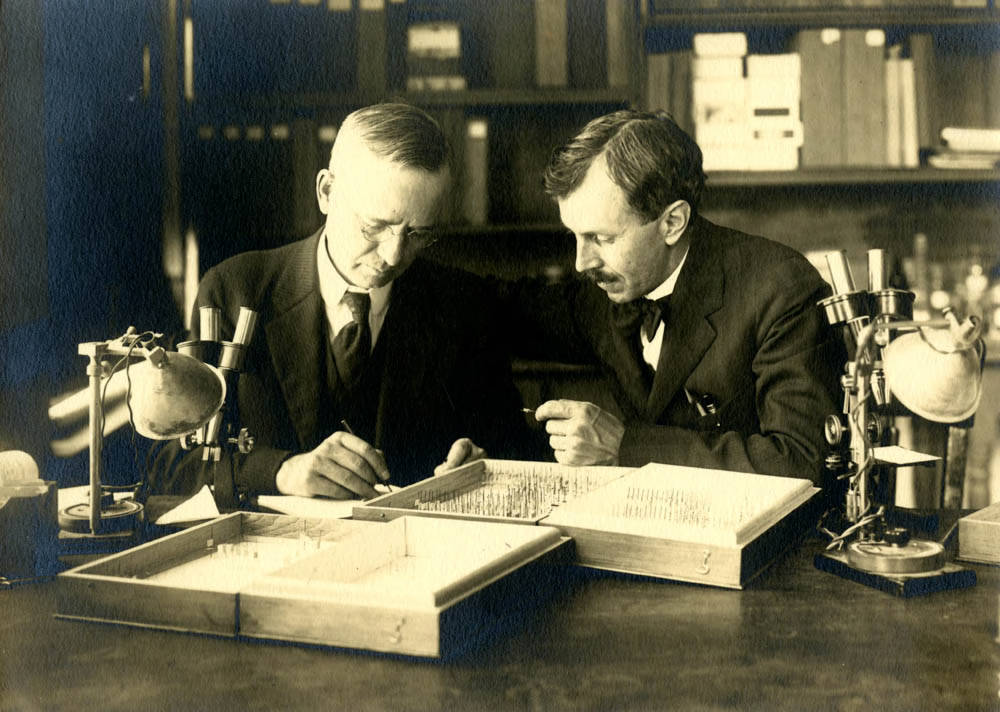 Two suited men look over cases of pins for insects.