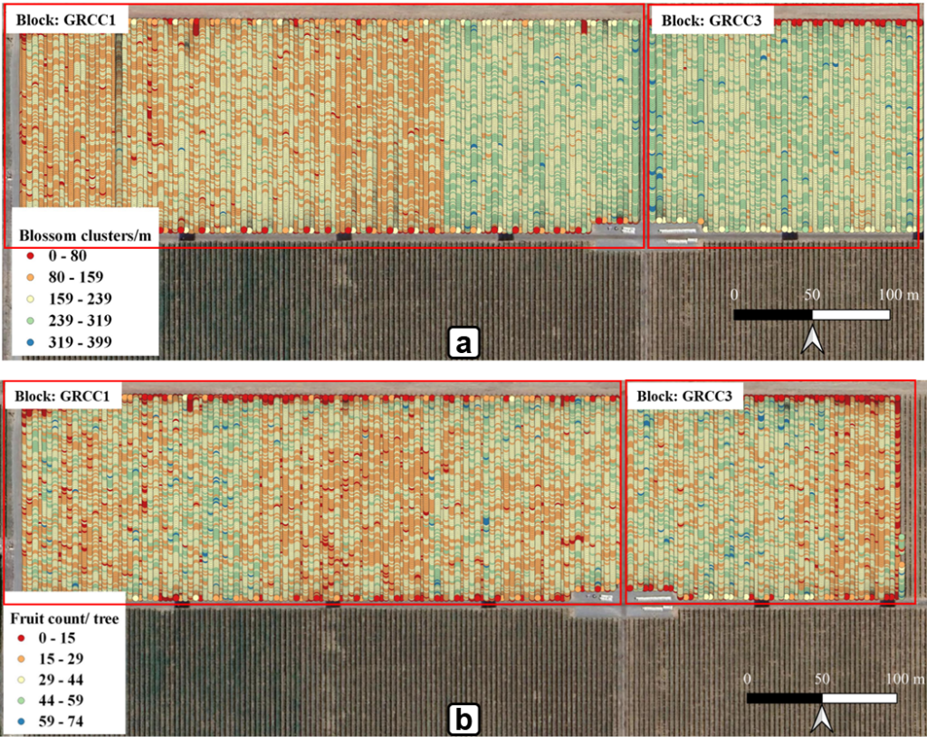 Variability map of blossom clusters and crop load per tree estimated using Green Atlas Cartographer based scans.