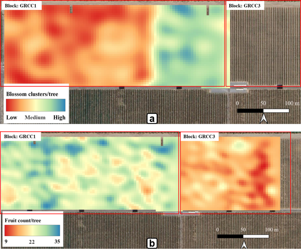 Variability map of blossom clusters and fruit count per tree estimates (Tyton Aviation with Outfield technology) using aerial imagery scans.