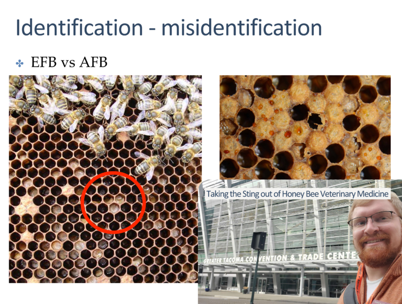 Title slide to a presentation Dr. Ryan Kuesel gave to veterinarians