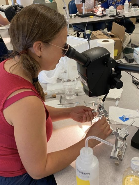 Sue Cobey looking in microscope