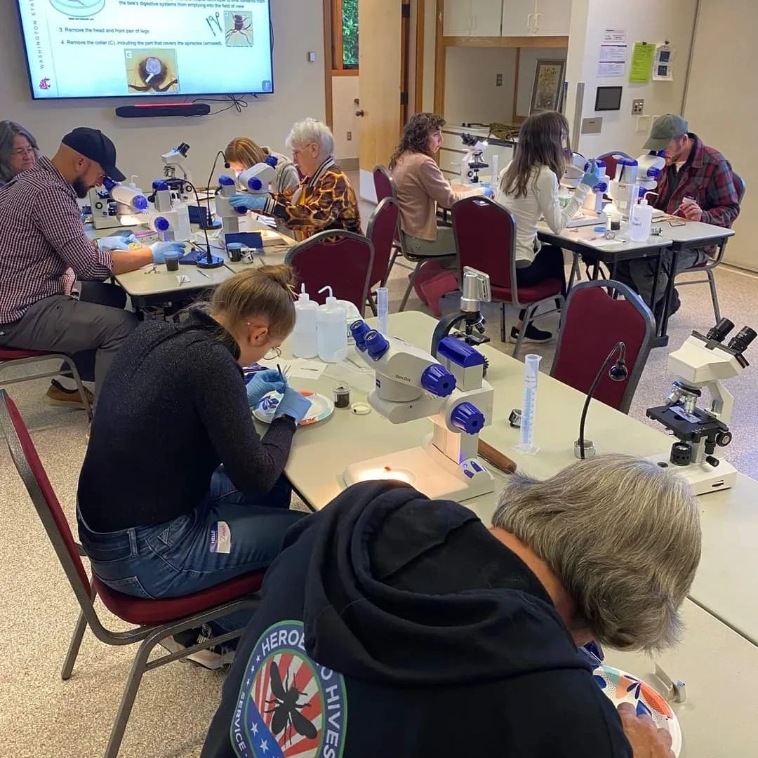 beekeepers practicing dissections