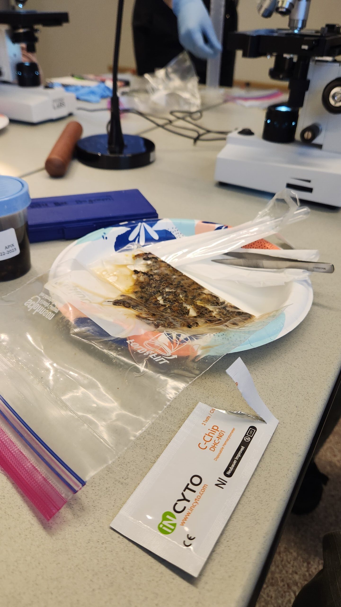 crushed bees in ziploc bag