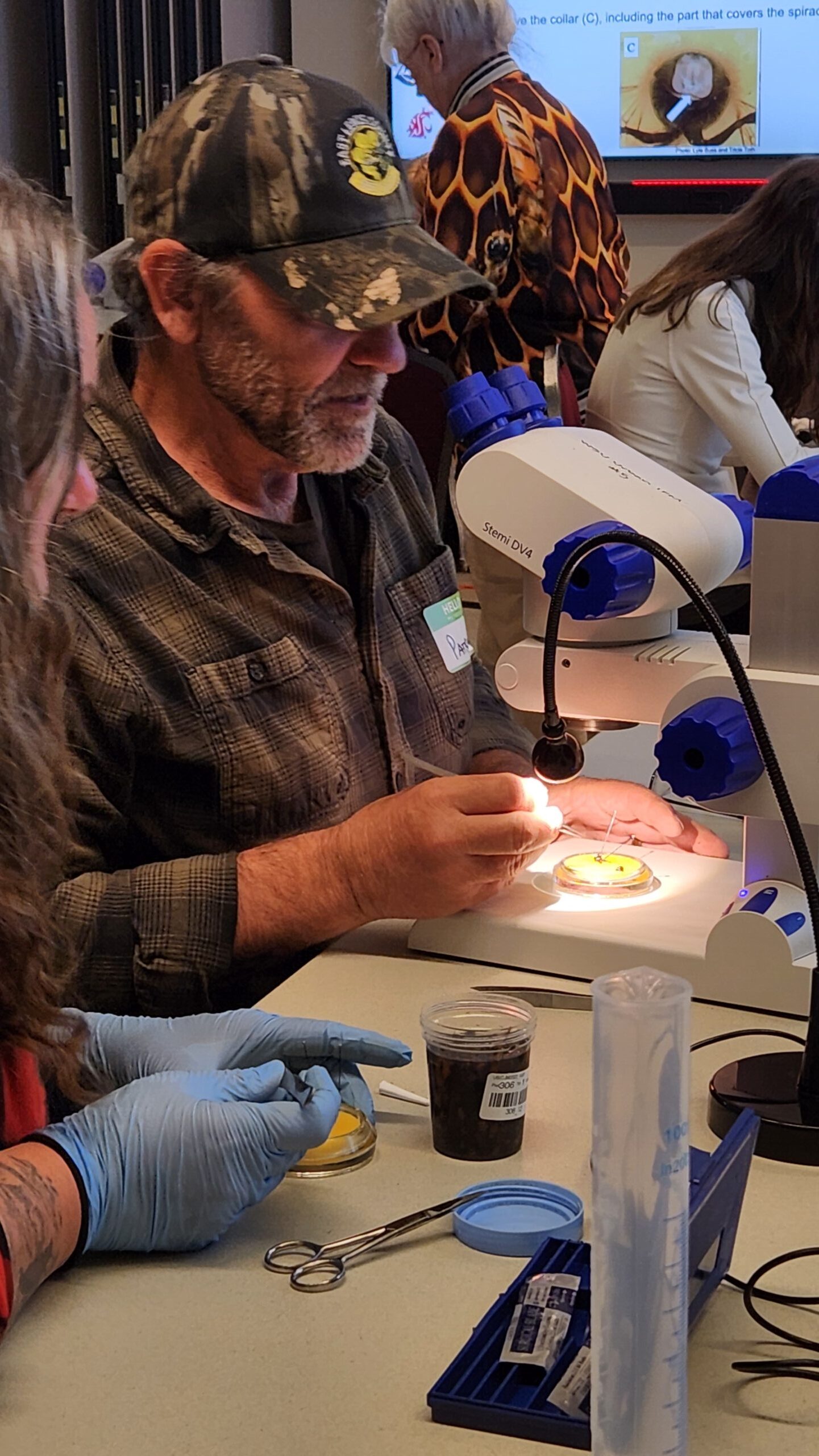 Beekeeper dissecting for tracheal mites