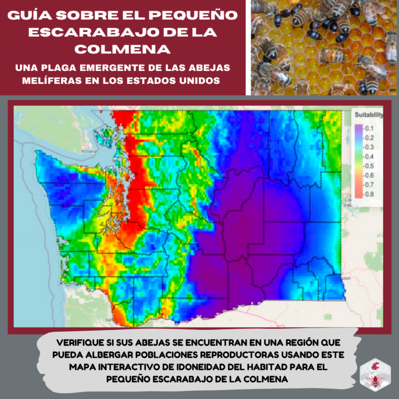 GUÍA SOBRE EL PEQUEÑO ESCARABAJO DE LA COLMENA. Una plaga emergente de las abejas melíferas en los Estados Unidos