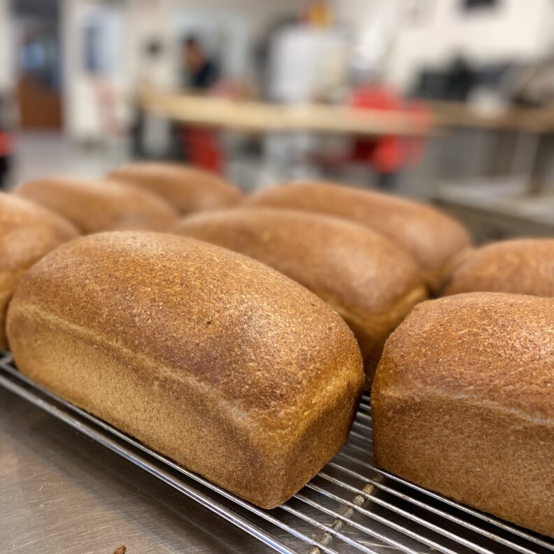 whole wheat loaves of bread cooling on a cooling rack