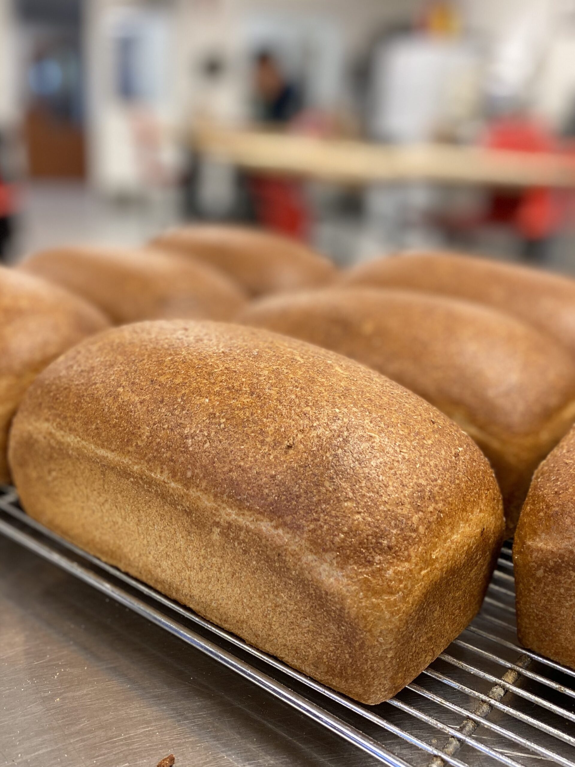 Freshly baked loaves of bread cooling on a tray.