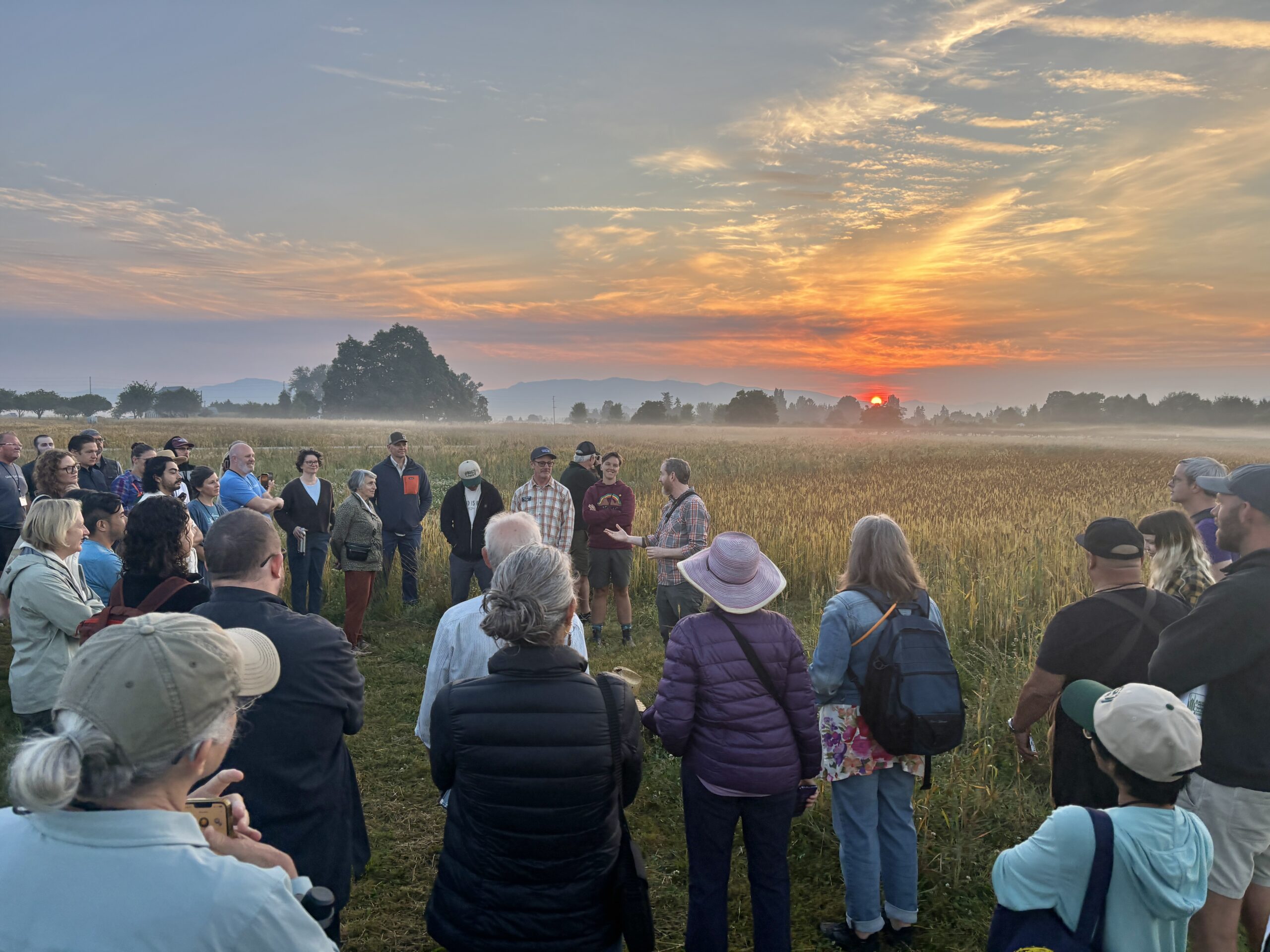 Group of people standing next to a wheat field at sunrise