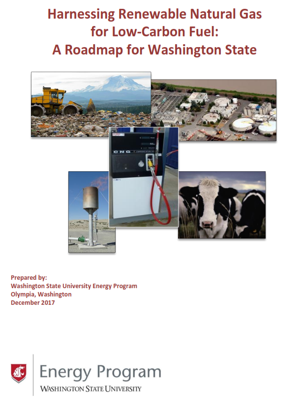 Harnessing Renewable Natural Gas for Low-Carbon Fuel: A Roadmap for Washington State publication.