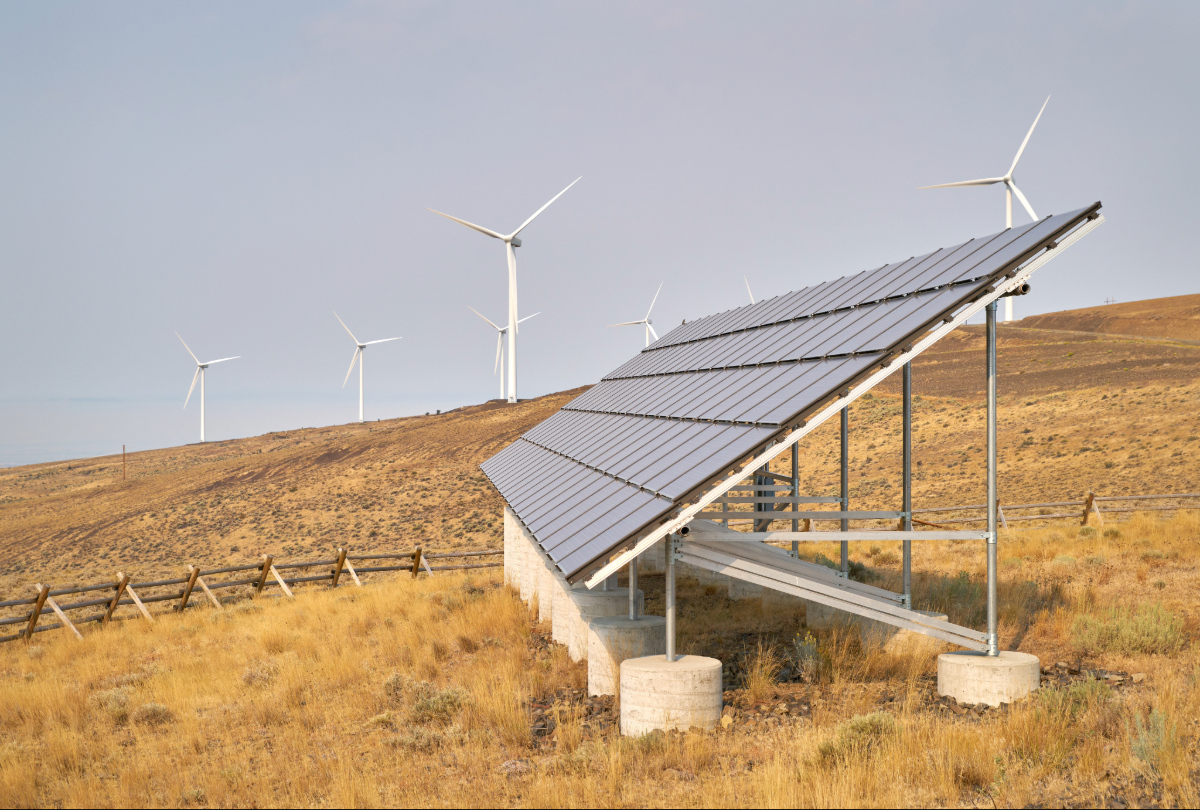 A solar panel in a field of wheat and sagebrush. Several wind turbines line the background.