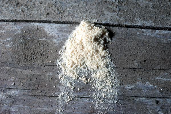 Bumble Bee on flower