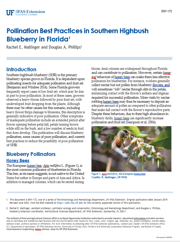 Blueberry-ENY-coverpage