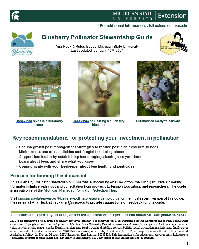 Blueberry-Pollinator-Stewardship-Guide coverpage