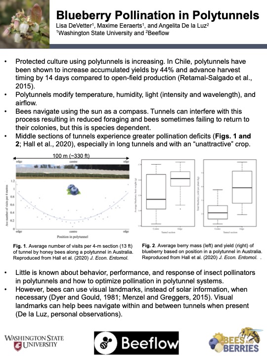 Highbush blueberry cover page