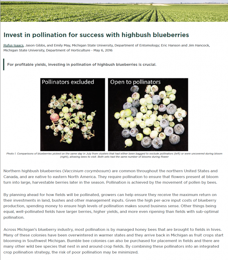 Invest in Pollination for Success with Highbush Blueberries coverpage