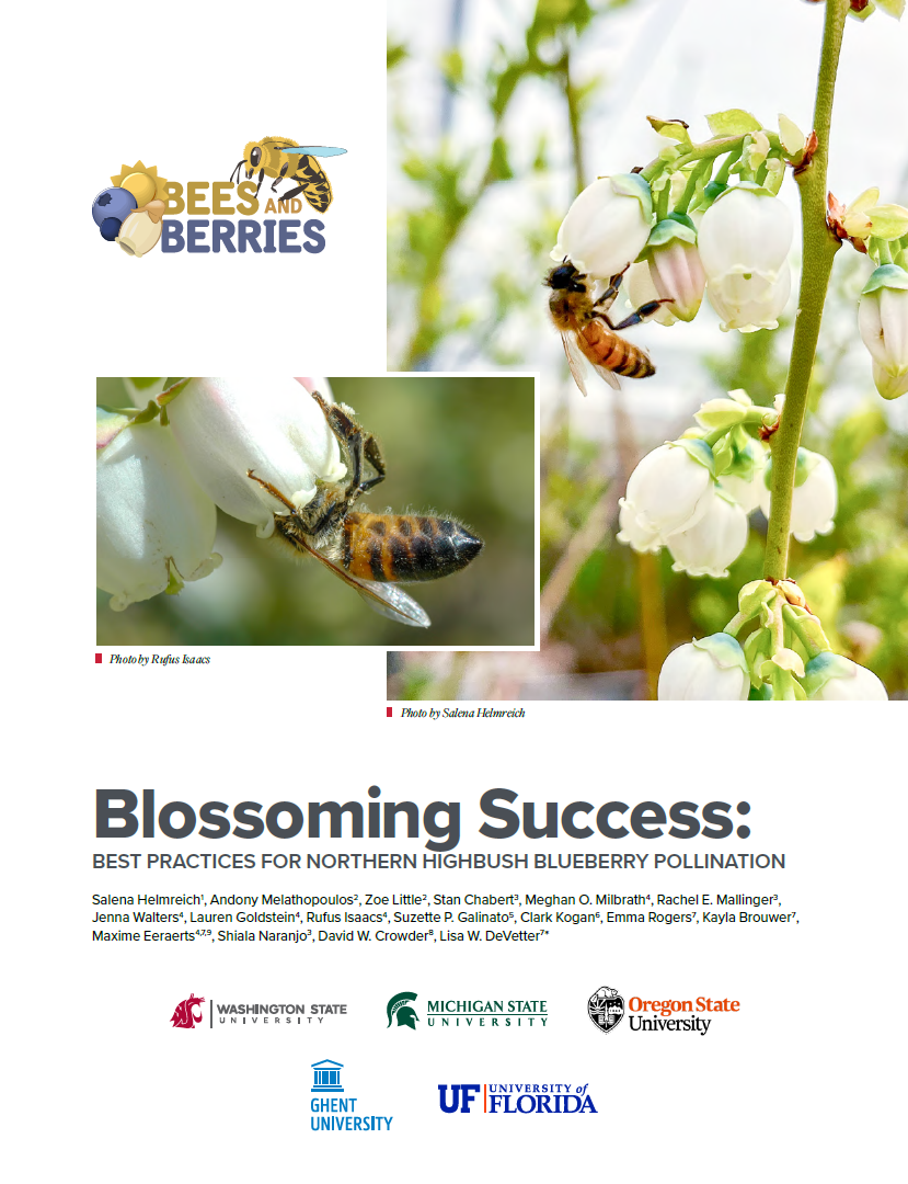 Pillars of Pollination cover page