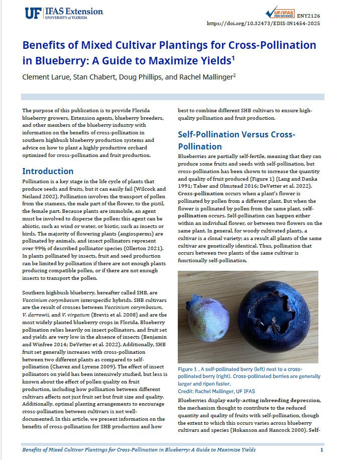 Benefits of Mixed Cultivar Plantings for Cross-Pollination in Blueberry coverpage