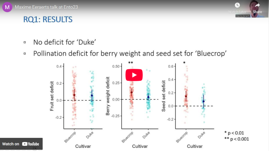 screenshot of Maxime Eeraetts talk at Ento23 video
