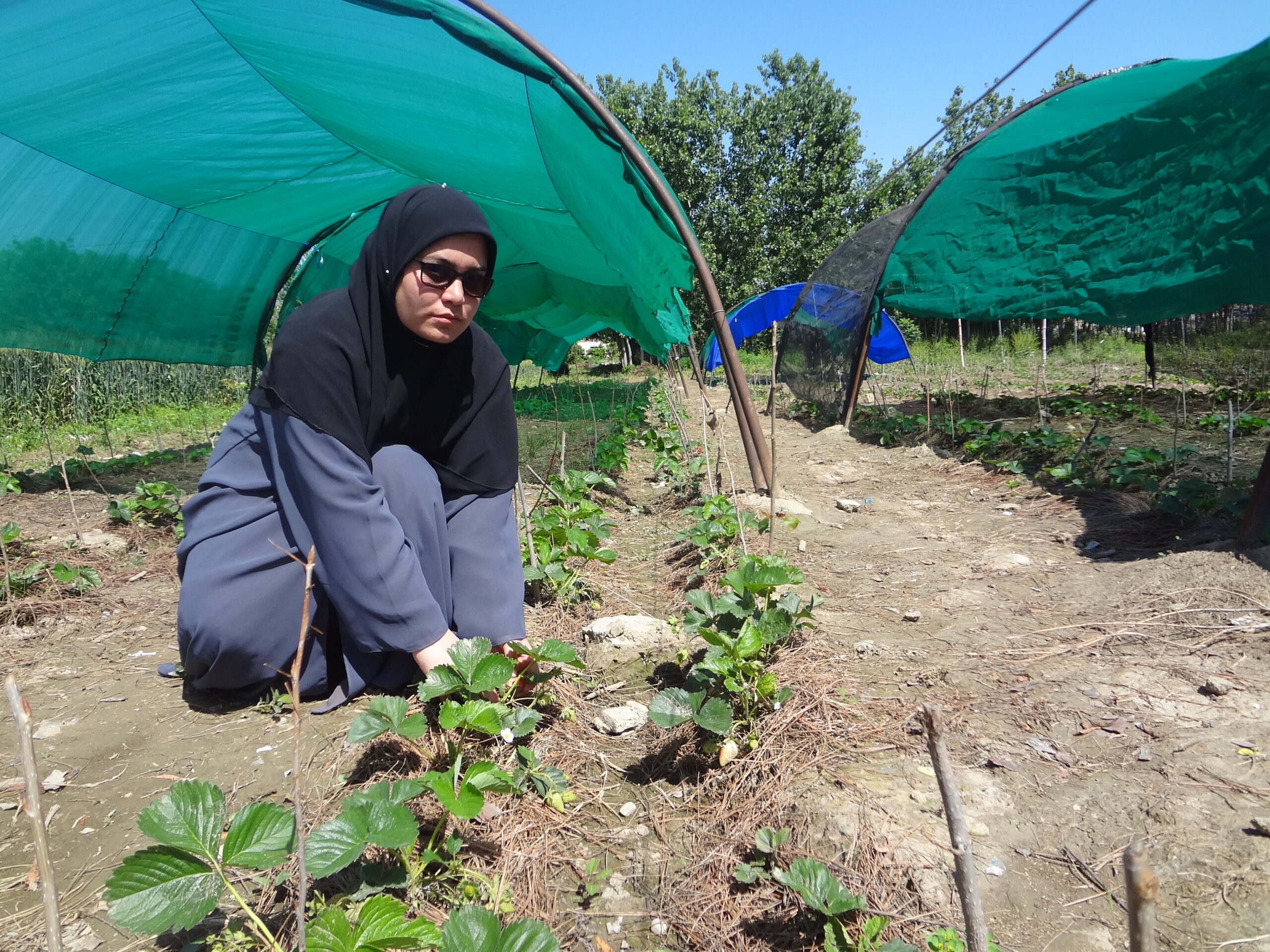 Kayla standing in nature