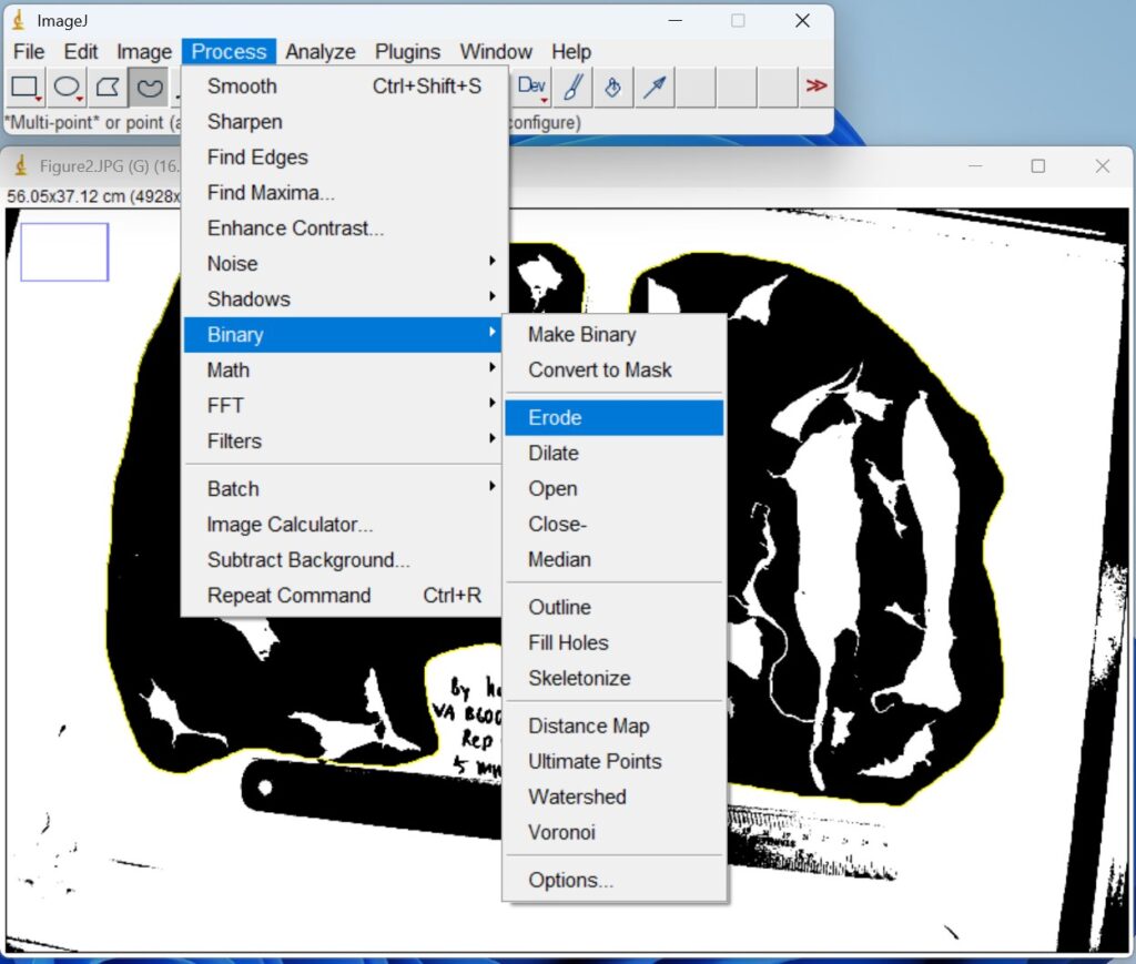 Screenshot of ImageJ software, choosing Erode option on Binary on Process menu