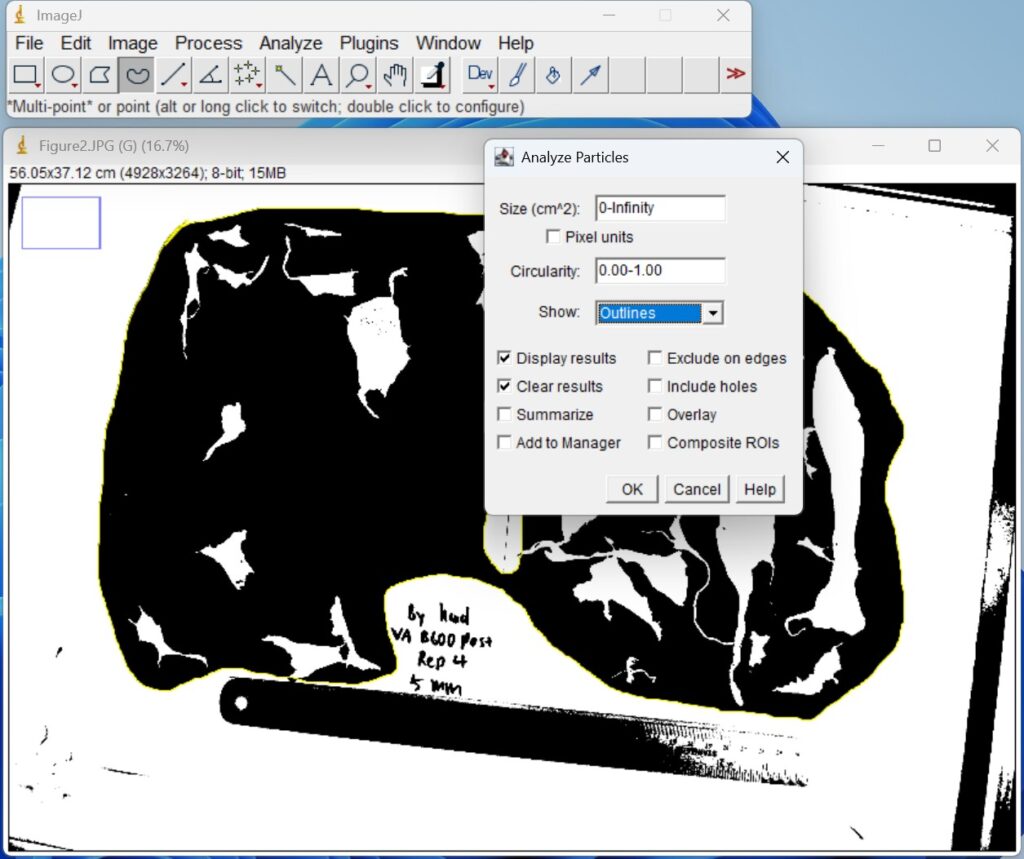 Screenshot of ImageJ software, selecting the options on Analyze Particles on Toolbar settings