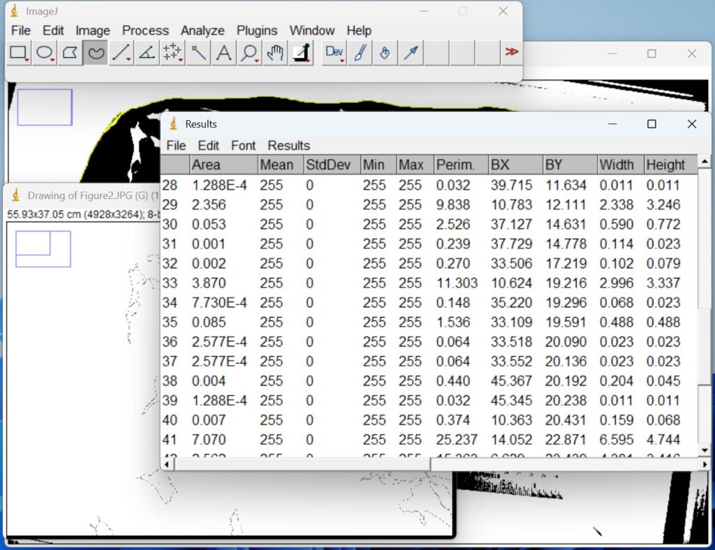 Screenshot of ImageJ software, showing the image results