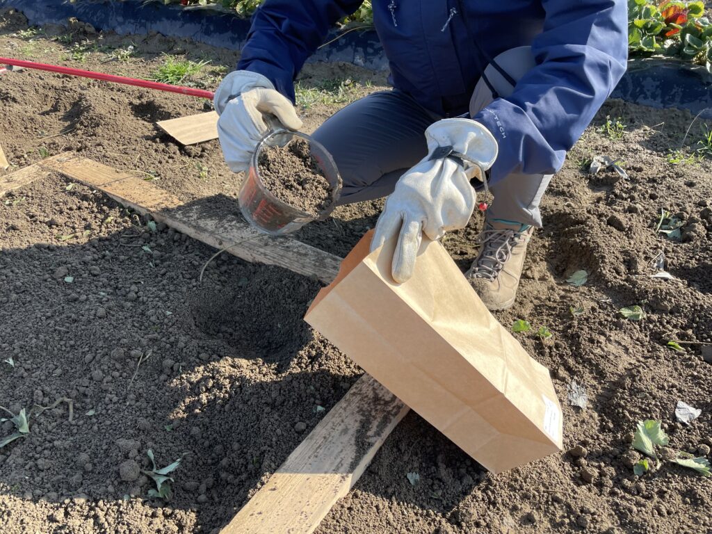 A person using a glass measuring cup to place a soil sample in a brown paper bag.