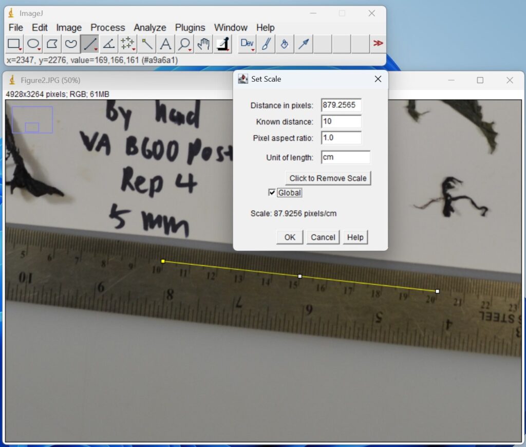 Screenshot of ImageJ software, adjusting the Set aside tool setting