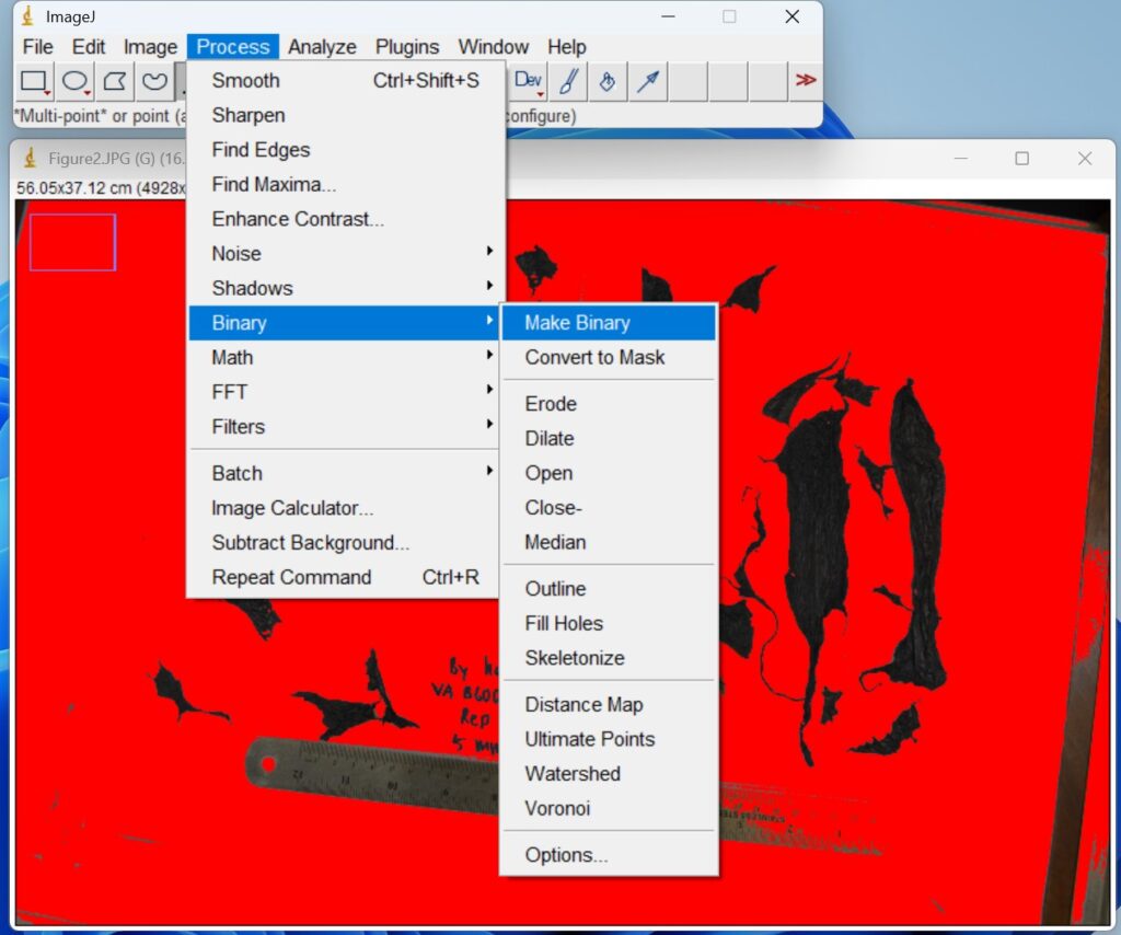 Screenshot of ImageJ software, selecting the Make Binary on Binary on Process menu item