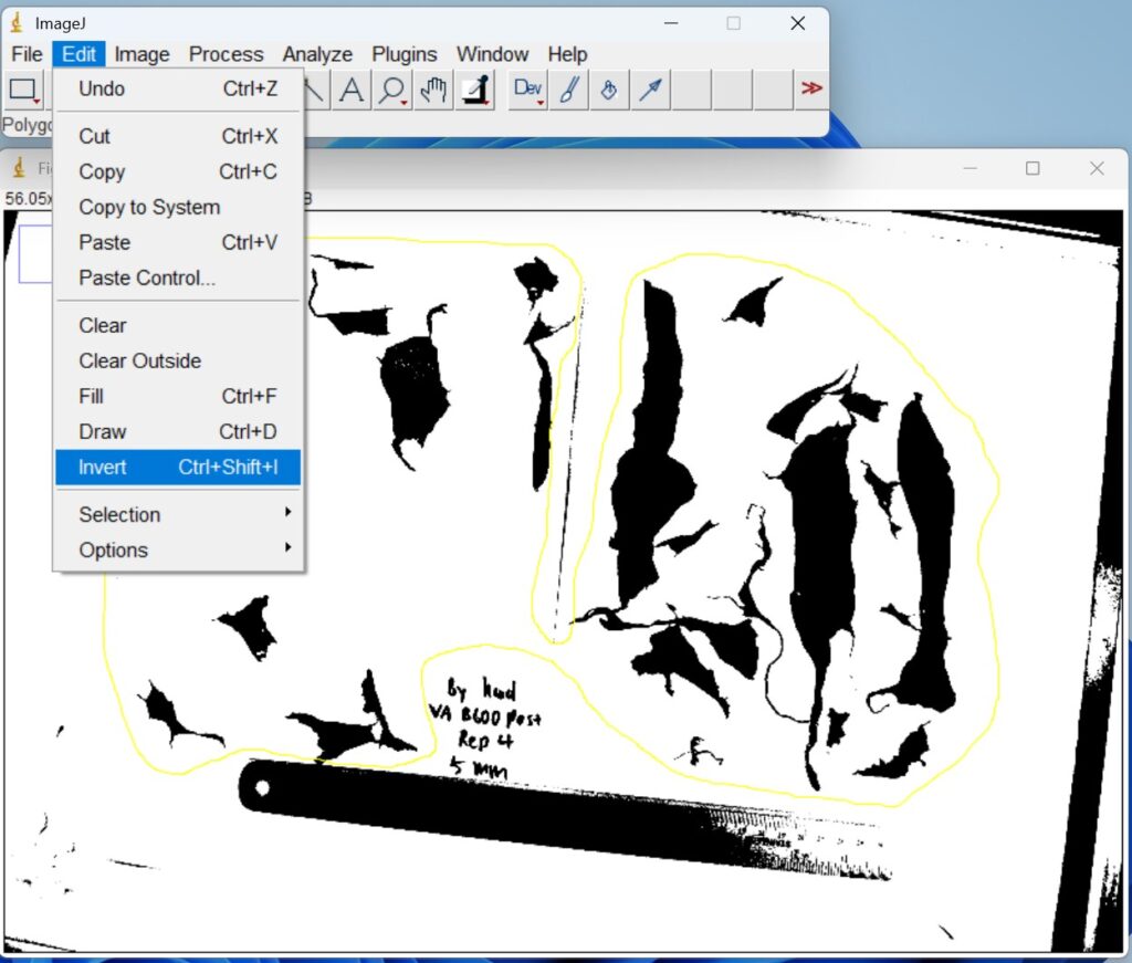 Screenshot of ImageJ software, selecting Invert option on Edit menu item