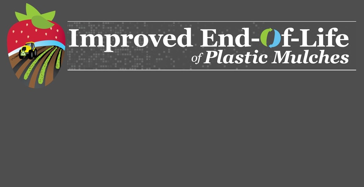"Improved End-of-Life of Plastic Mulches"; illustration of large strawberry with tractor tilling mulch into a strawberry field.