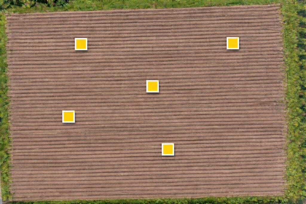 Overhead view of a field with five yellow squares indicating sampling locations.