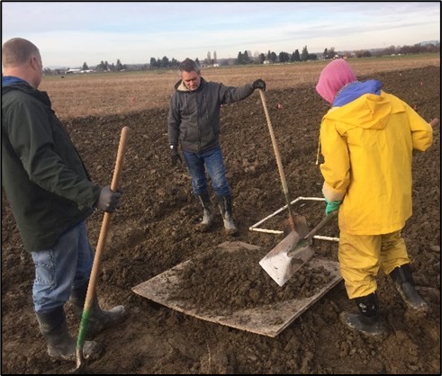 Three people collecting a soil sample from an area marked with a PVC frame onto a square piece of plywood in a field.