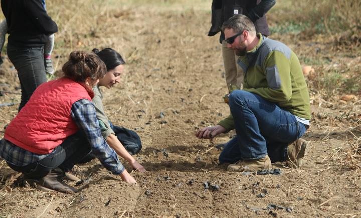Three people kneeled down in a field and checking on the the soil in a field