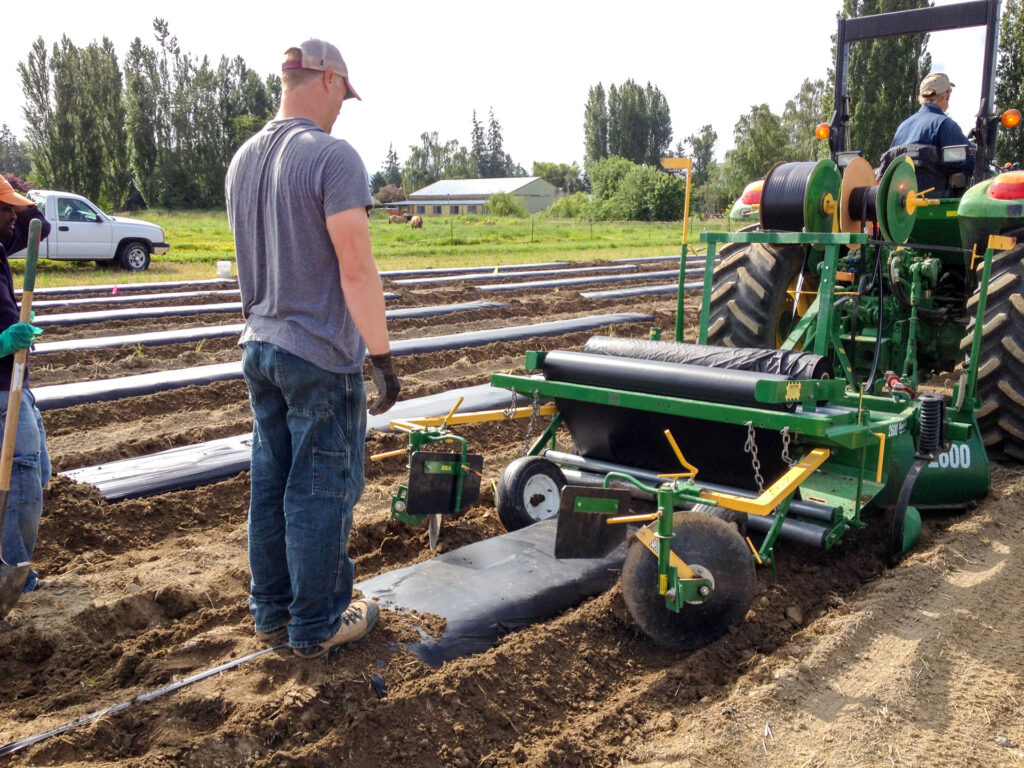 Man standing on start of plastic sheet mulch.