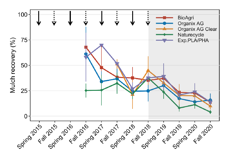 Line graph showing percent recovery of BDM fragments (BioAgri, Organix AG, Organix AG Clear, Naturecycle, and Exp. PLA/PHA) collected from 2016 to 2020 (Fall [solid arrow] and Spring [dotted arrow]). Plot area shaded gray after Fall 2018. Starting recovery ranged from ~70% (Bioagri) followed by Organix AG, Organix AG Clear and Exp. PLA/PHA, to 25% (Naturecycle), with recovery % trending down sharply and ending at between 4-16% (from lowest Naturecycle, Organix AG Clear, Exp. PLA/PHA, BioAgri, Organix AG). (Exp. PLA/PHA showed an initial recovery jump before falling to join the overall trend.